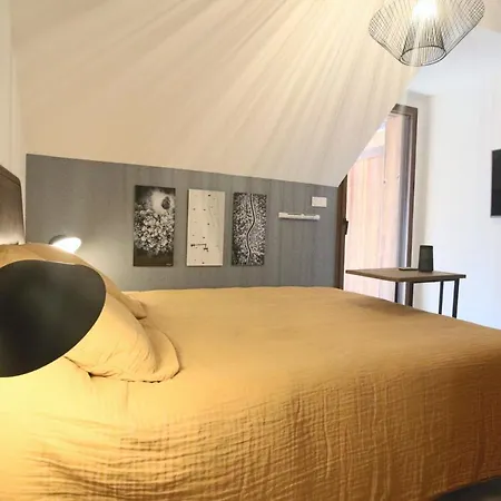 Magnifique T5 Duplex De Grand Standing 120m2 Neuf Classé 4 étoiles Pour 8 Personnes En Plein Centre De *